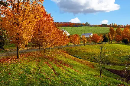 تصویر پروفایل طبیعت بکر پاییزی با آب و هوای خنک و دلپذیر 