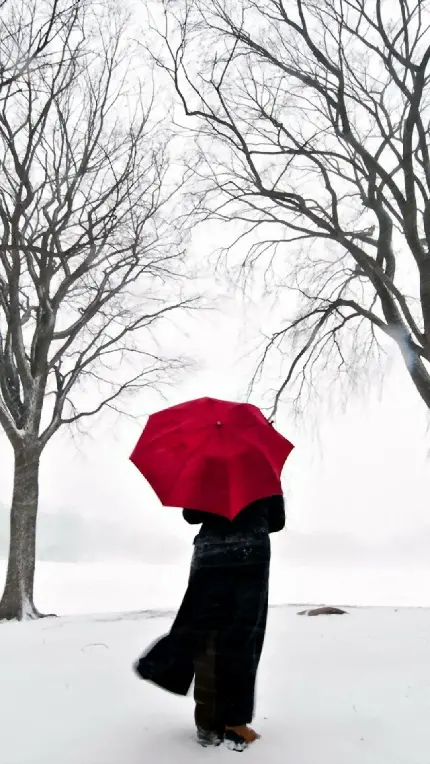 دانلود عکس پروفایل زیبا دخترانه با چتر برفی در زمستان رویایی