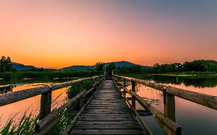 تصویر پس زمینه پل چوبی منتهی به دشت سرسبز در غروب خوشرنگ