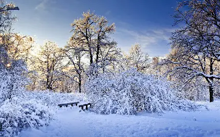 عکس فصل زمستان در طبیعت و زمین پوشیده از برف 