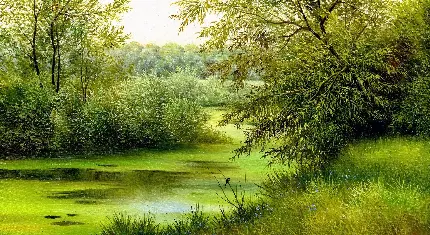 دانلود عکس استوک تابلو نقاشی طبیعت جنگل سرسبز و زیبا 
