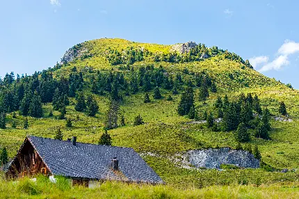 خانه ای چوبی و دلنشین در طبیعت باطراوت برای والپیپر