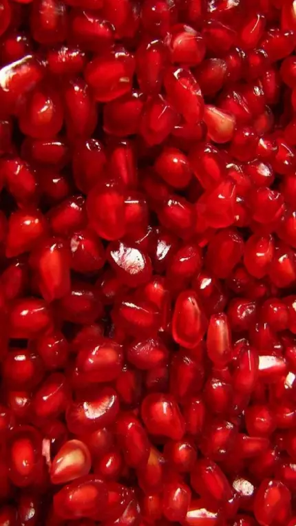 زیباترین والپیپر دانه های انار قرمز برای شبکه های اجتماعی