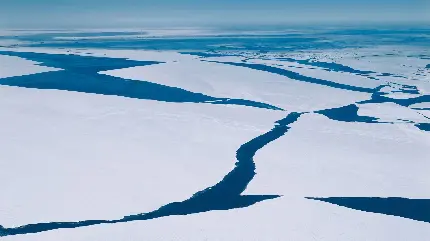 تصویر زمینه باکیفیت خاص HD تکه های یخ بزرگ شناور بر سطح اقیانوس 