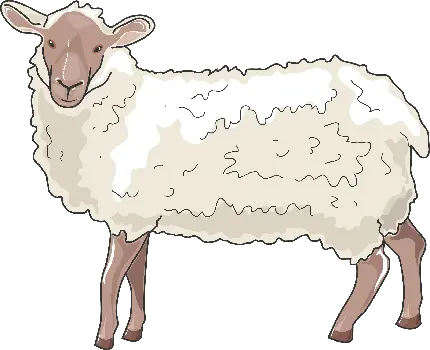 دانلود عکس پی ان جی png نقاشی گوسفند کارتونی انیمیشنی 