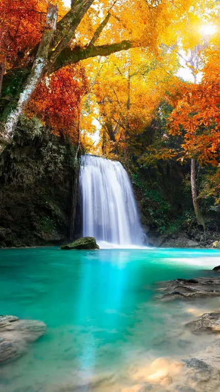 خاص ترین تصویر منظره رویایی آبشار در جنگل پاییزی با بهترین کیفیت