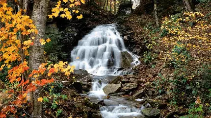 دانلود رایگان عکس آبشار پر آب در طبیعت فصل پاییز با بهترین کیفیت 