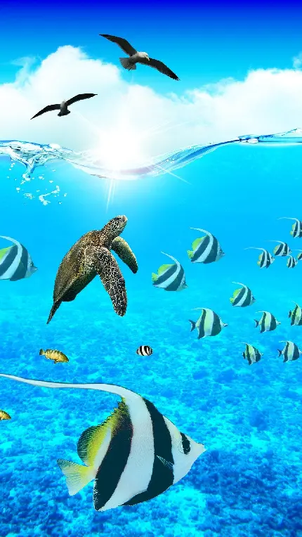 تصویر زندگی زیر آب با منظره لاکپشت و ماهیان رنگارنگ