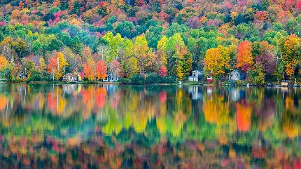 دانلود عکس خارق العاده و چشم نواز طبیعت ناب خداوند در فصل پاییز