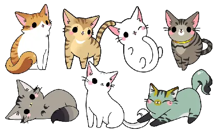 نقاشی های پی ان جی PNG گربه های ملوس و ناز با رنگ ها و طرح های مختلف 