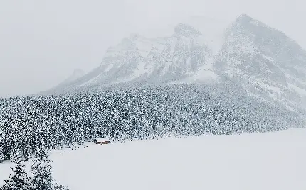 تصویر با القای حس سرما از منظره پوشیده از برف کوهستانی طبیعت