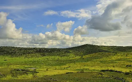 تصاویر فوق العاده و چشم نواز از طبیعت سرسبز 