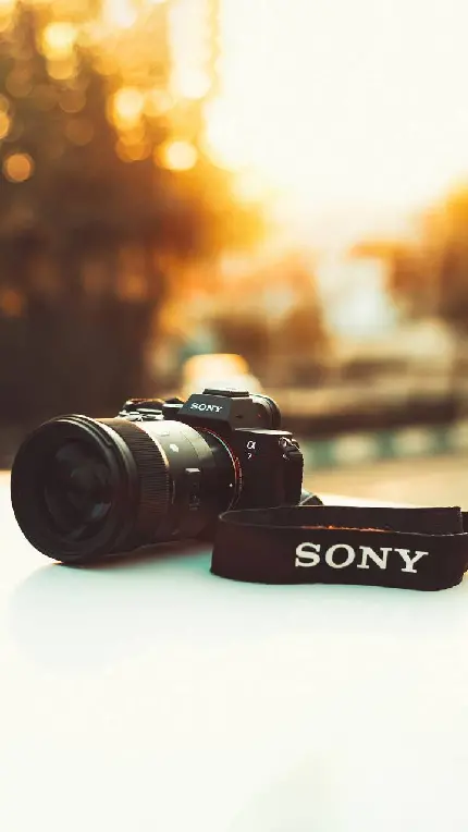 دوربین عکاسی کوچک و جمع و جور سونی Sony 