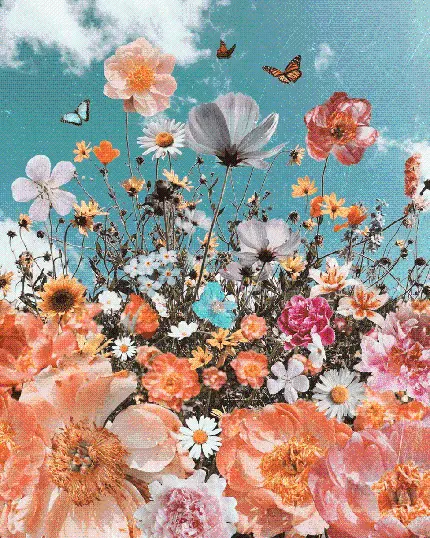 دانلود تصویر زمینه طرح چند تکه گل های صورتی و سفید زادگاه پروانه ها 