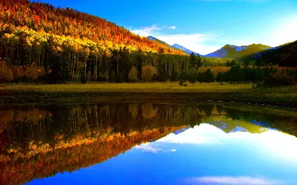 دریاچه زلال و زیبا لاجوردی رنگ پنهان شده در آغوش جنگل