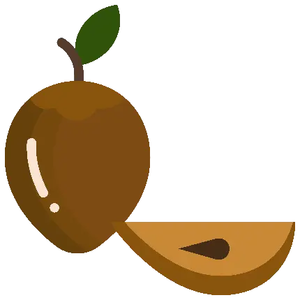 png رایگان عکس میوه ساپودیلا کارتونی در ساده ترین شکل