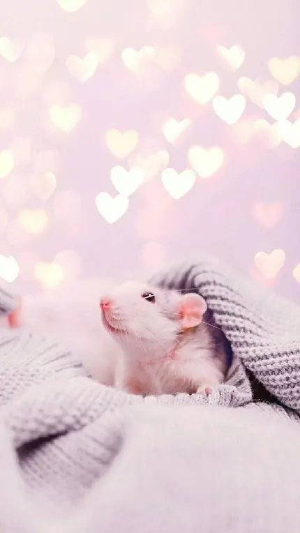 عکس دختر بدون چهره خفن