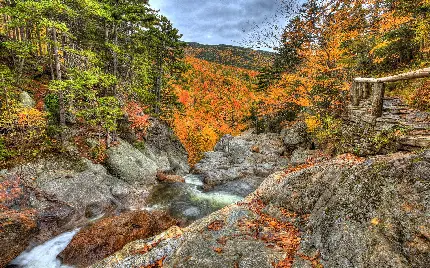 دانلود عکس رایگان و با کیفیت منظره‌ صخره ای و کوهستانی در فصل پاییز 