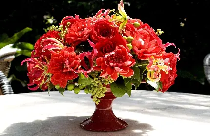 دانلود عکس گل و گلدان خوشگل با گل های قرمز خوشرنگ برای پروفایل 