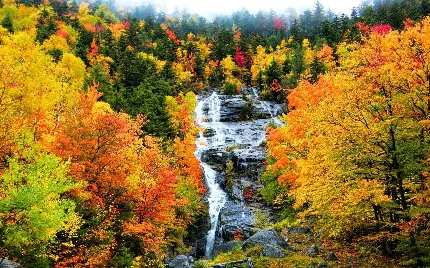عکس آبشار وسط جنگل در فصل زیبا و دلنشین پاییزی 