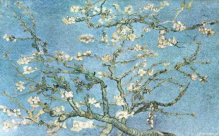نقاشی شاخه هایی با شکوفه بادام - ونسان ون گوگ - 1890سبک امپرسیونیسم