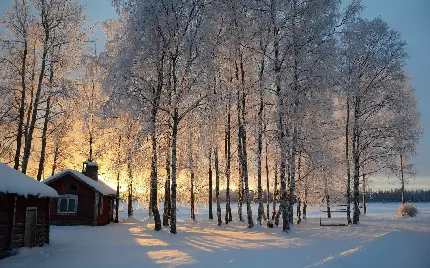 دانلود والپیپر زمستانی با طبیعت بسیار زیبا برای گوشی موبایل 