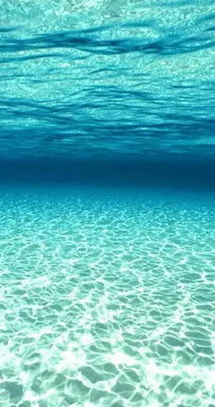 عکس زیر آب دریا با کیفیت مناسب برای تصویر زمینه گوشی