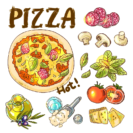 پی ان جی عکس غذا با گوجه کارتونی PIZZA با مواد لازم