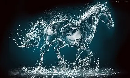 عکس دیجیتال شگفت انگیز با طرح اسب باشکوه ایجاد شده با اب خنک