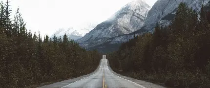 تصویر زمینه لپ تاپ 4k از جاده ای در کنار جنگل کوهستانی