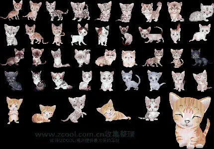 دانلود عکس پی ان جی png نقاشی گربه های ملوس و ناز 
