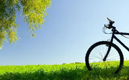 Background رویایی با حس خوب از دوچرخه کلاسیک در چمنزار