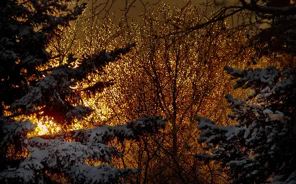 عکس فوق العاده زیبا و با کیفیت فصل زمستان 