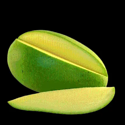دانلود رایگان PNG پی ان جی جدید میوه سبز نرسیده و کال انبه 