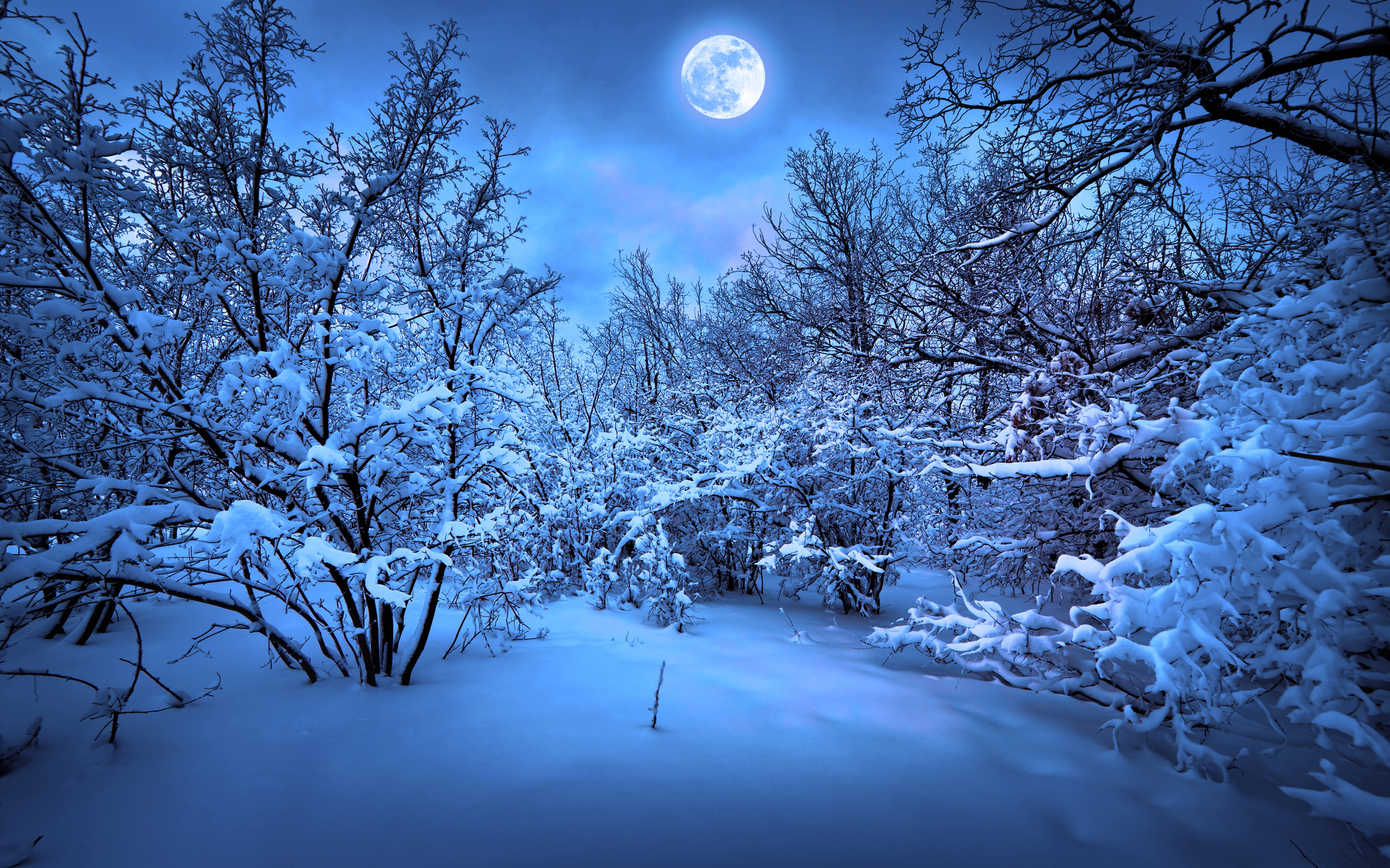 عکس پروفایل فصل زمستان زیبا برای علاقه مندان به برف و سرما 
