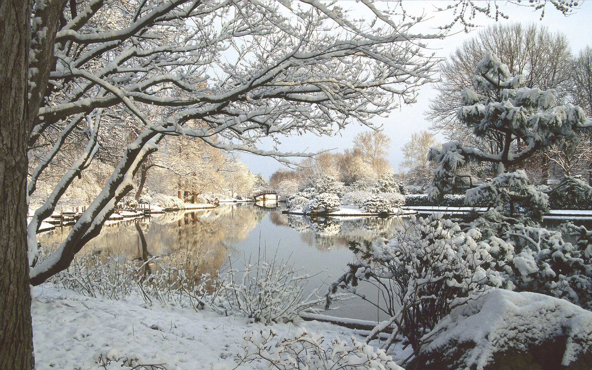 تصویر پروفایل پل زیبا بر روی رودخانه ارام در طبیعت و فصل زمستان 