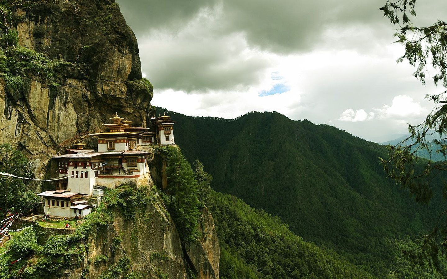 خانه های چینی ساخته شده در کوهستان سرسبز با کیفیت خوب
