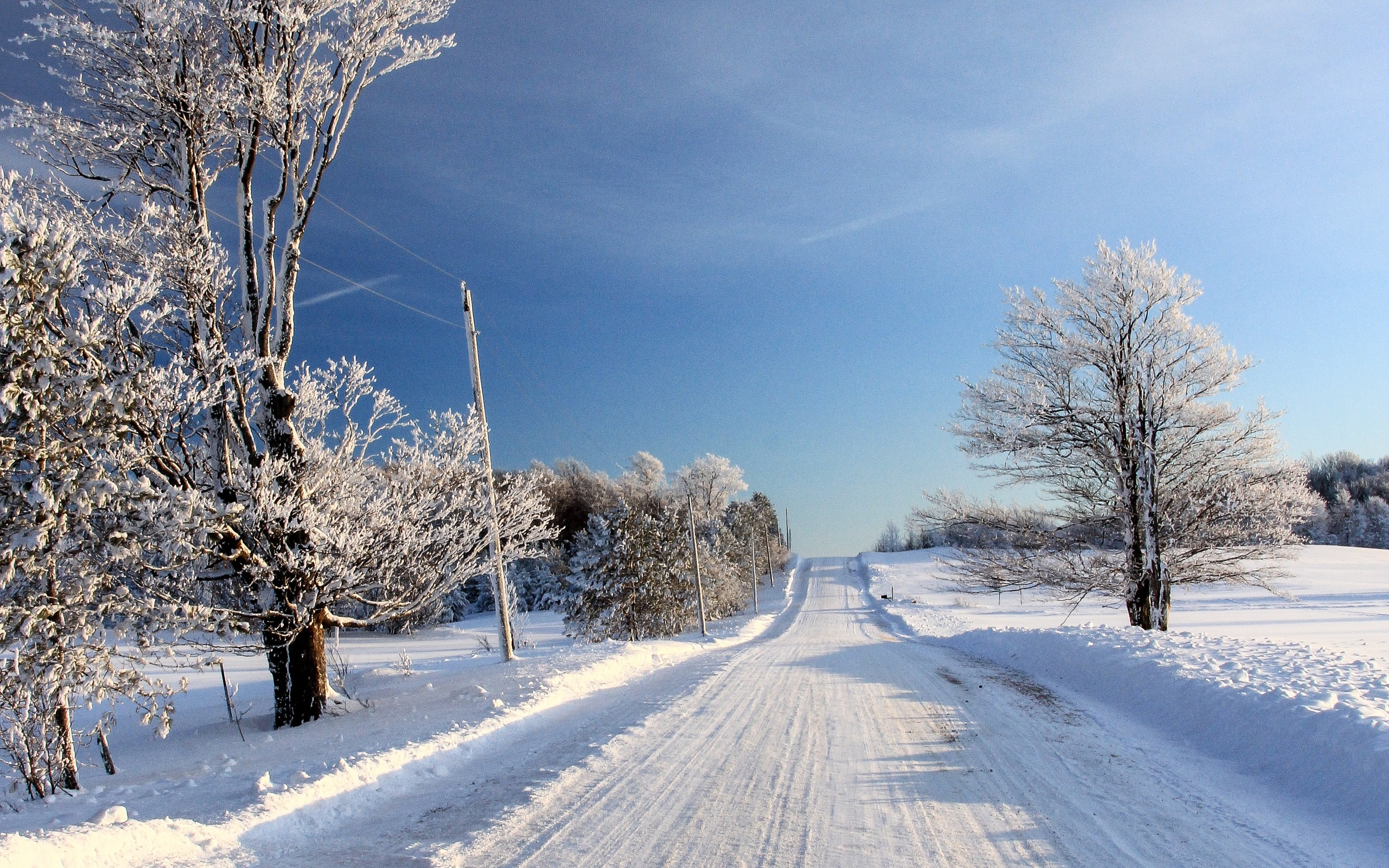 دانلود رایگان و فول اچ دی full HD عکس زمینه طبیعت زمستانه برفی 