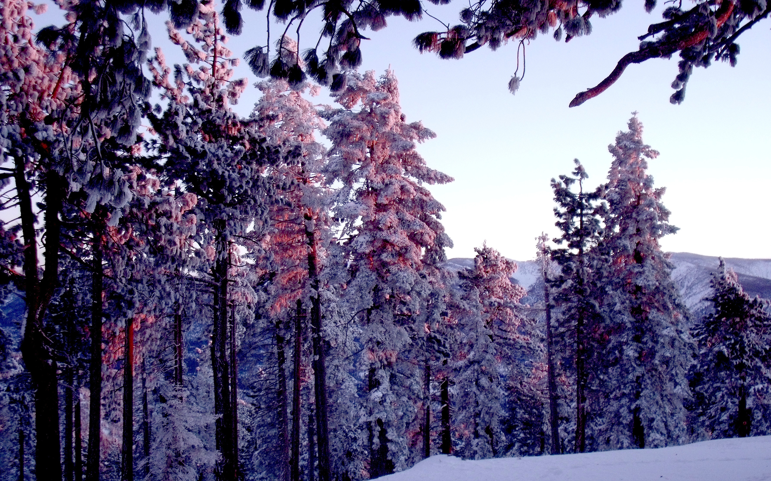 تصویر استوک فصل زمستان در عکس با کیفیت 4K برای دانلود پروفایل 