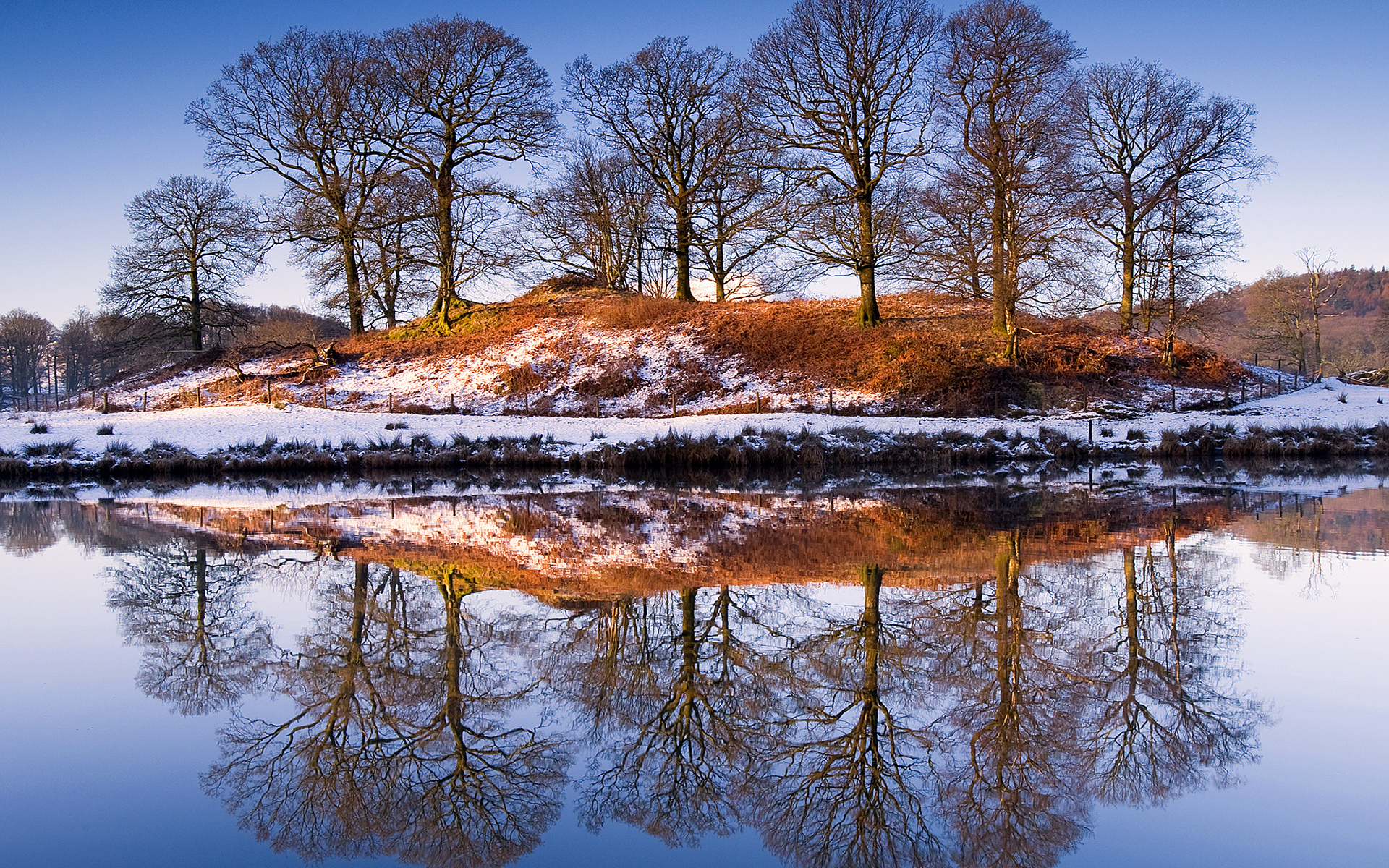 عکس فصل زمستان از انعکاس درختان در دریاچه سرد 