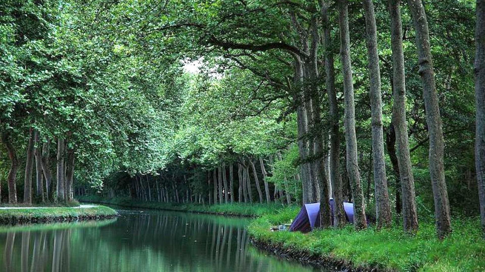 تصویر کمپ میان درختان تناور و دریاچه زمینه مناسب دسکتاپ 
