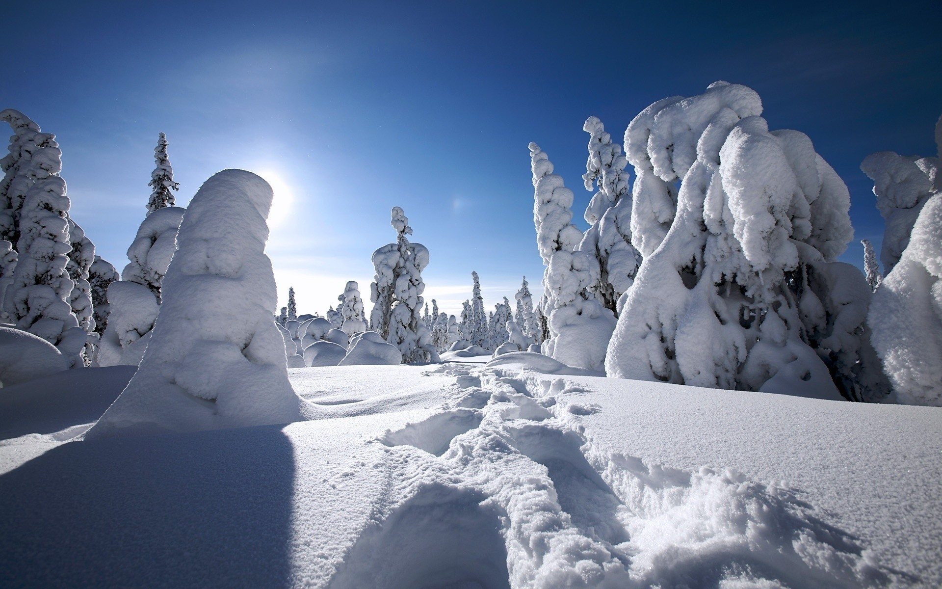 بک گراند زمستانه زیبا و دیدنی از منظره پر برف برای والپیپر لپتاپ 