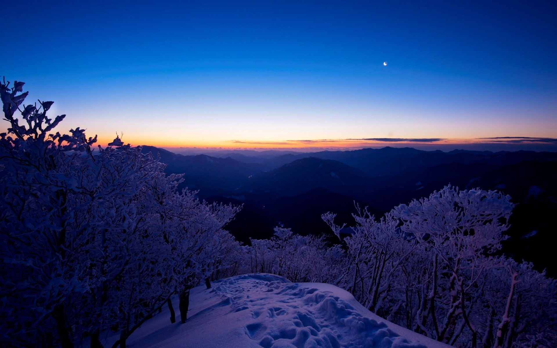 دانلود رایگان عکس طبیعت و درختان در زمستان برای پروفایل 