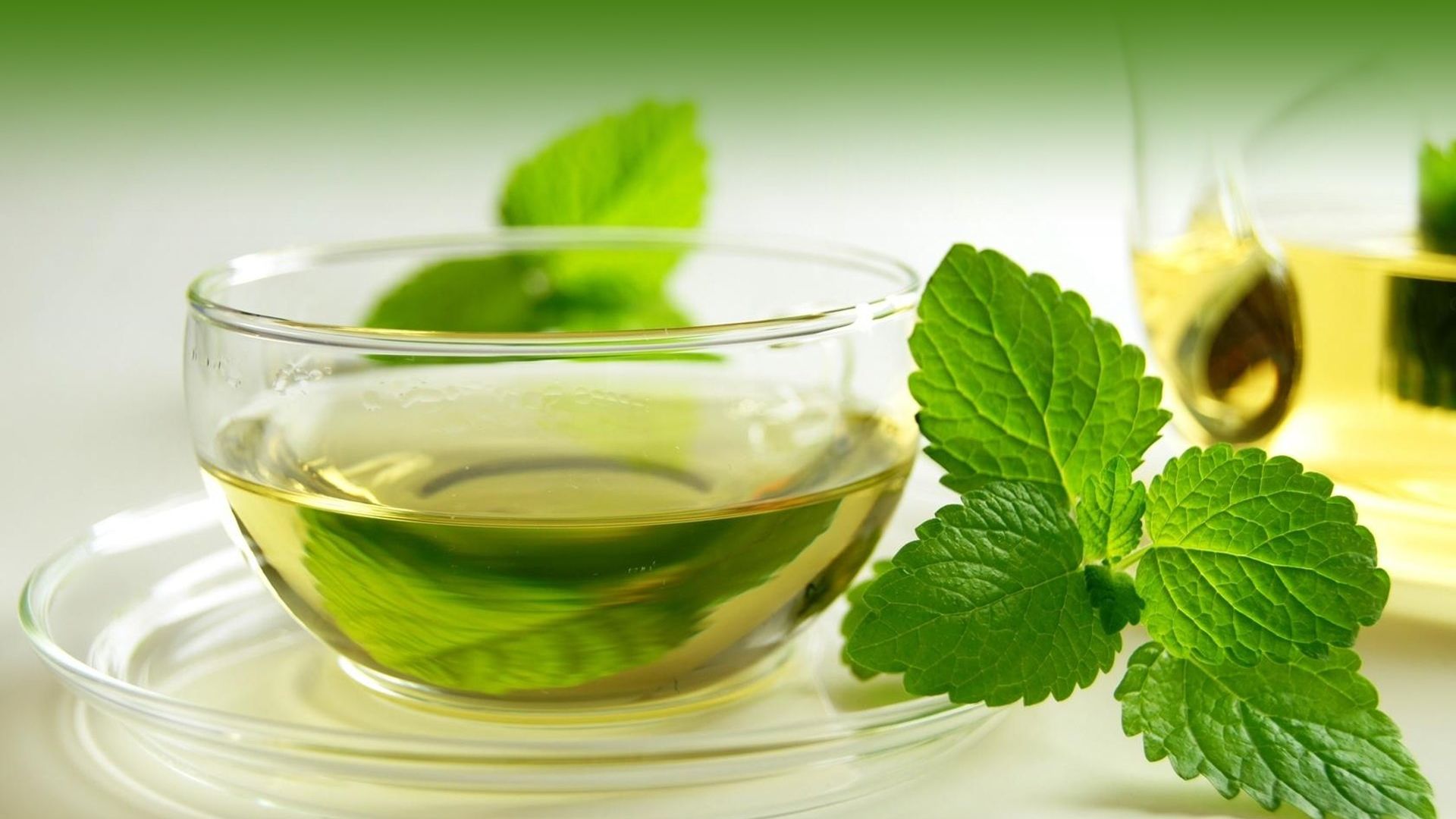 دانلود عکس دمنوش گیاهی نعناع mint با کیفیت فوق العاده دانلود عکس دمنوش گیاهی نعناع mint با کیفیت فوق العاده