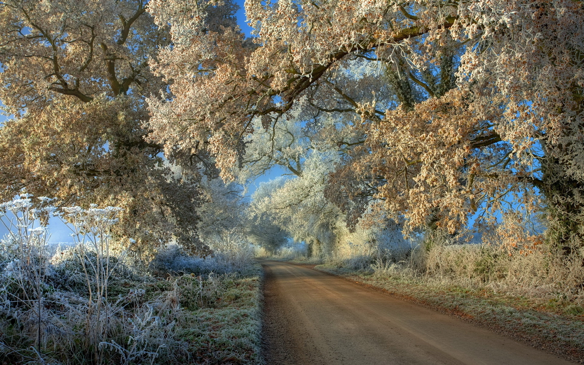 دانلود عکس استوک خفن طبیعت در فصل زمستان برای چاپ تابلو و پوستر 
