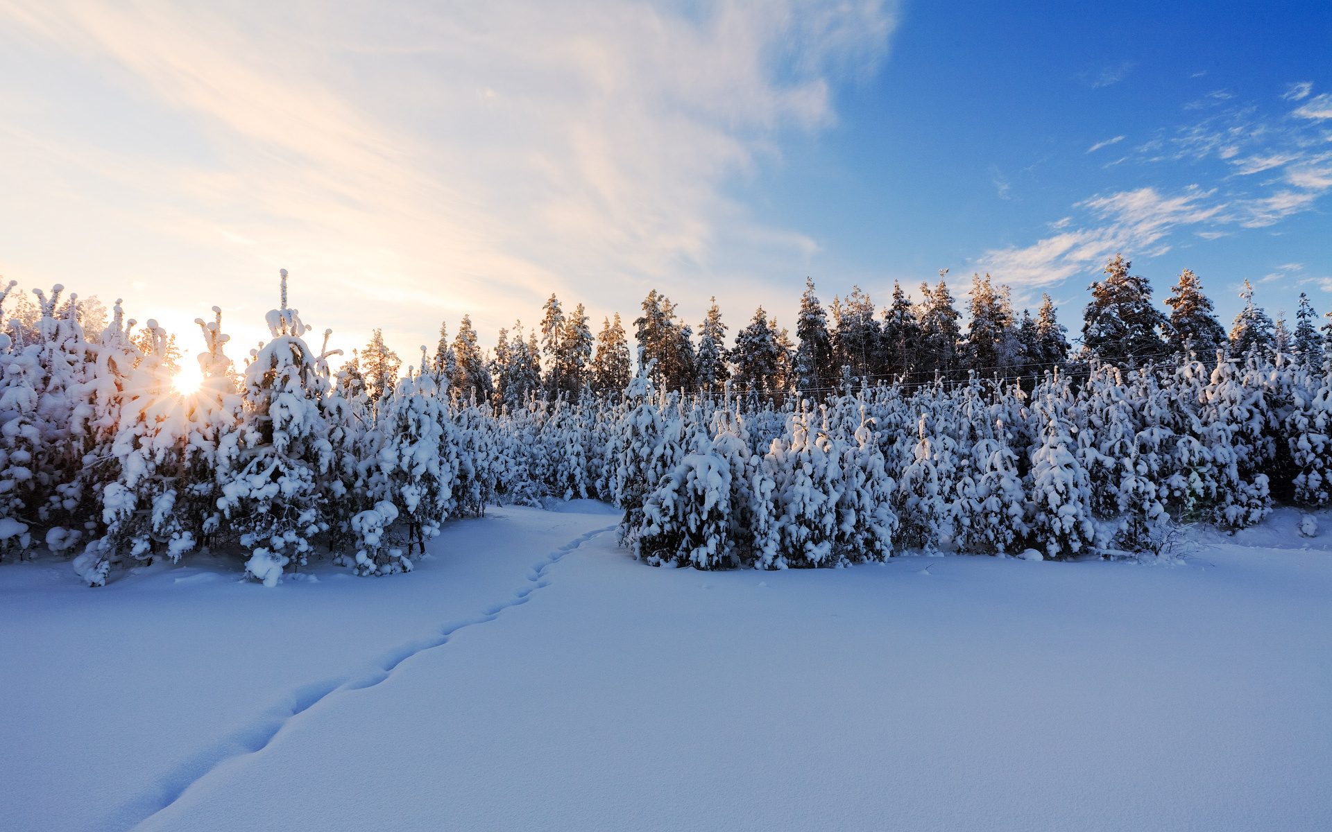 استوک تصویر منظره شگفت انگیز زمستان پوشیده از برف برای پس زمینه