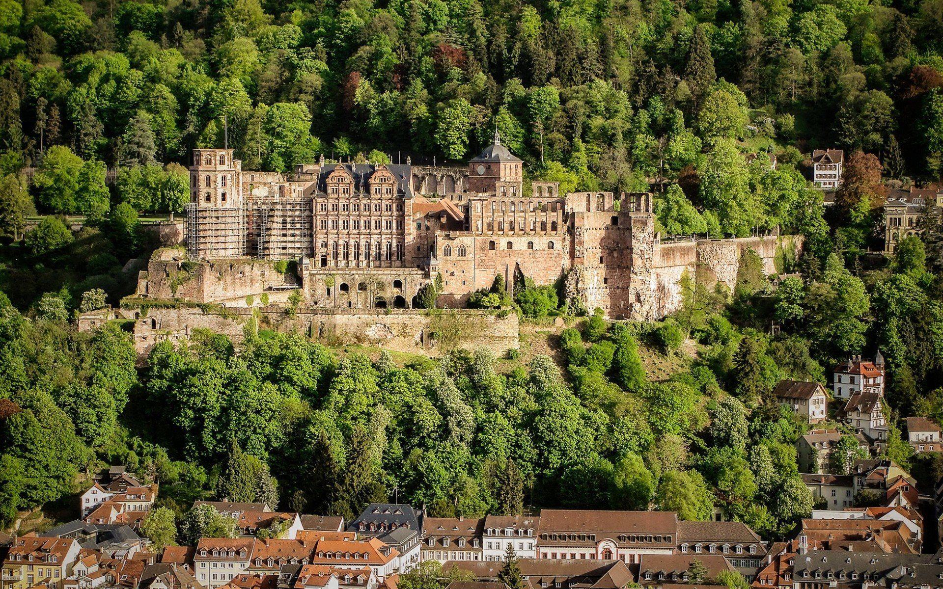 عکس قلعه قدیمی وسط جنگل با معماری رنسانس و کیفیت HD اچ دی 