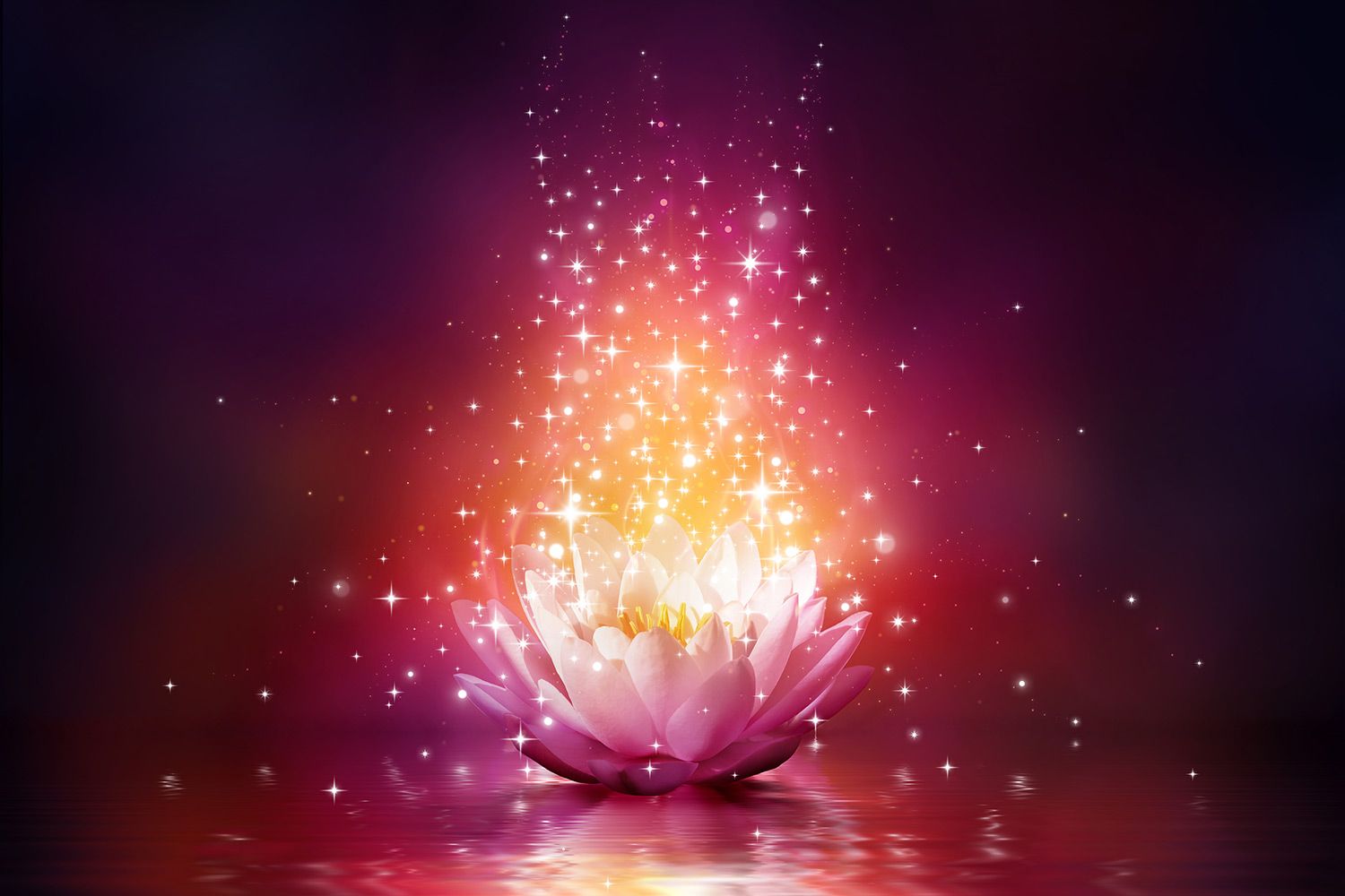 عکس پروفایل نیلوفر آبی Lotus با ادیت درخشان و پر زرق و برق