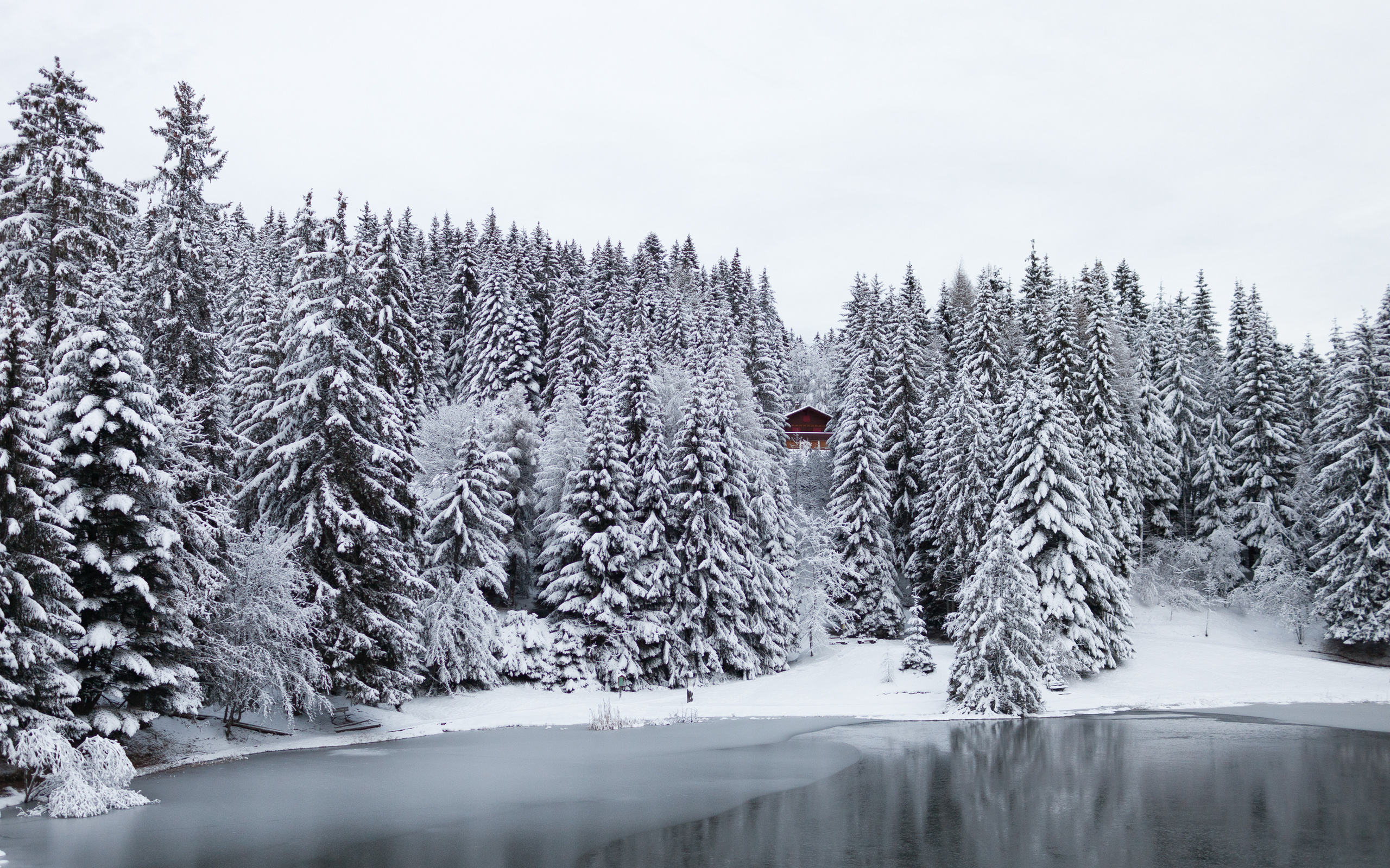 عکس استوک فصل زمستان با طبیعت پر از برف با کیفیت full HD 