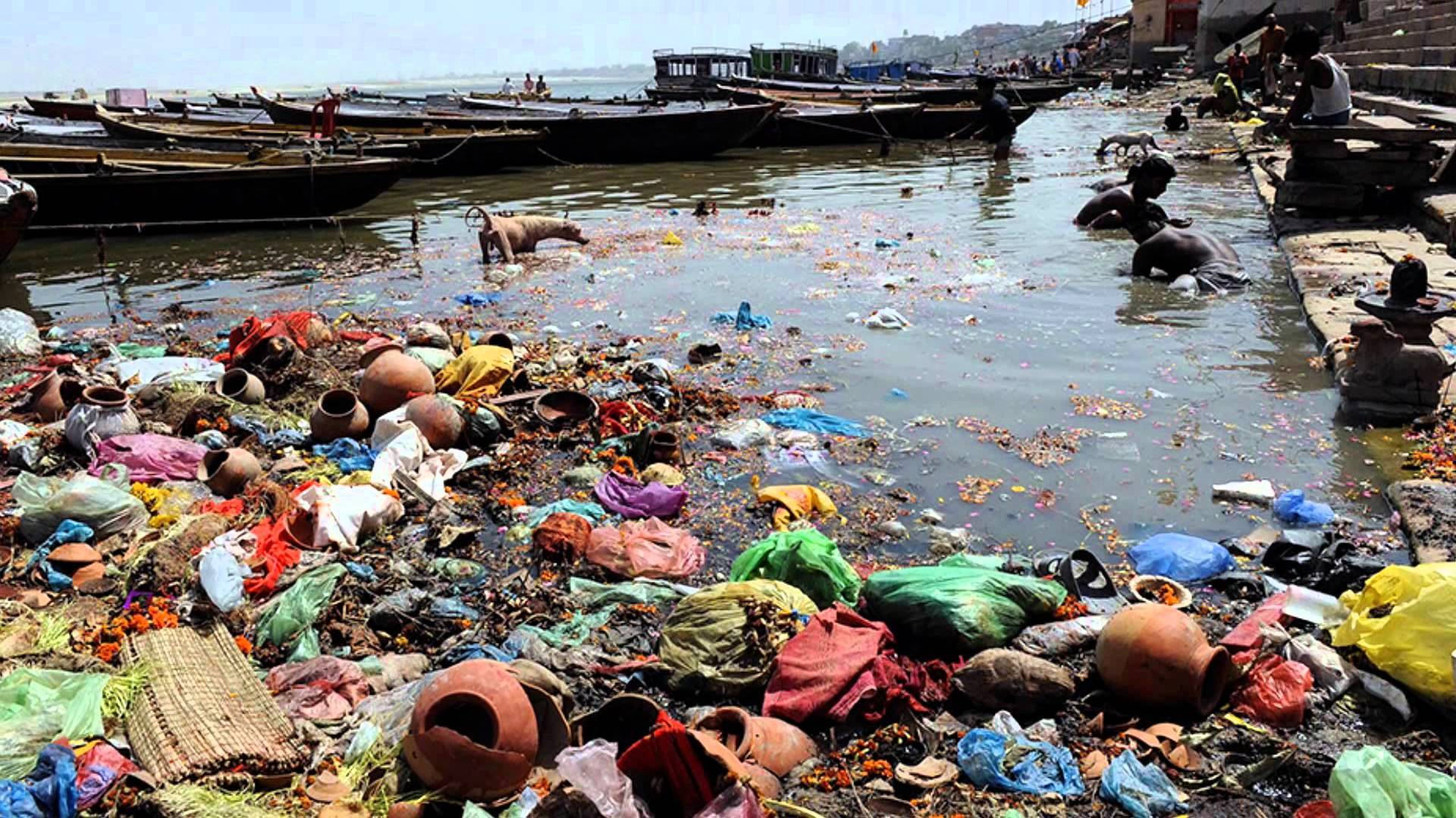 عکس آب های آلوده شده توسط انسان ها و تخریب محیط زیست آبزیان